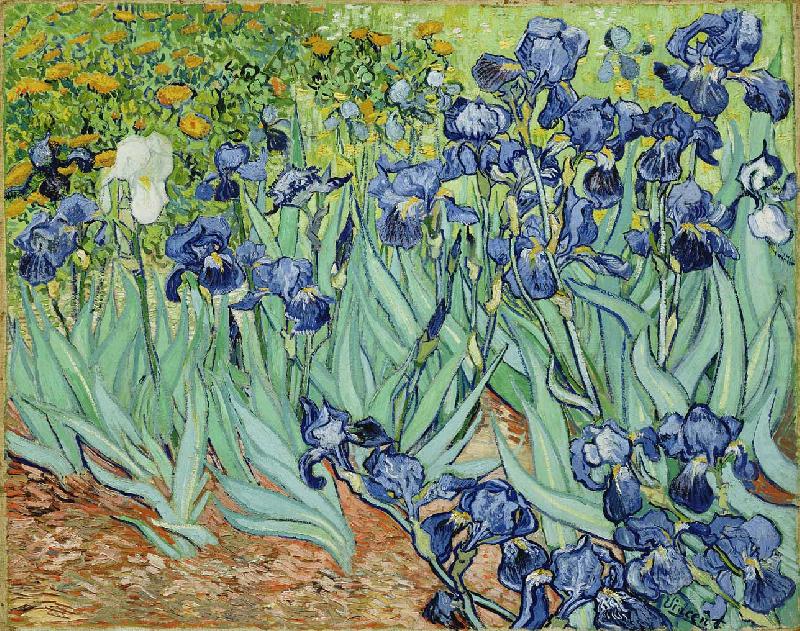 Irises, Vincent Van Gogh